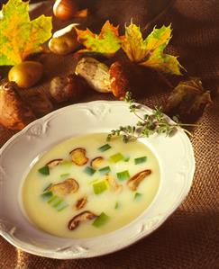 A Bowl of Mushroom and Leek Soup