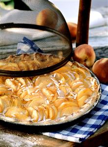 Peach tart in round baking dish, decoration: food cover