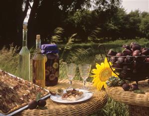 Plum cake and a jar of bottled plums (outdoors)