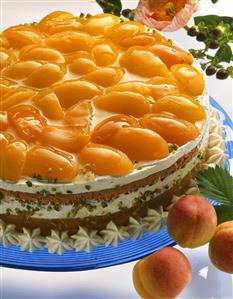 Apricot cream gateau