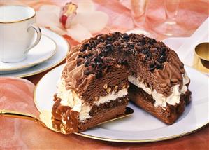 Chocolate ice cream gateau with hazelnuts, a piece cut