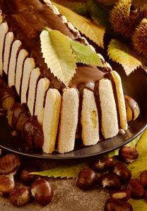 Chestnut tree trunk (chestnut cake with sponges & chocolate)