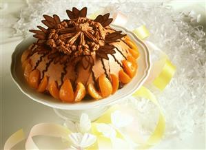 Chocolate and apricot gateau with chocolate leaves