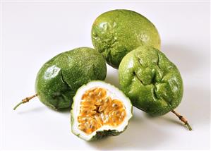 Several green passion fruits (granadilla)