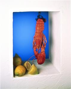 Still Life of Hanging Lobster with Lemons