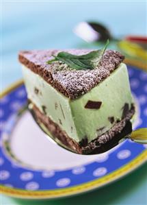 Chocolate mint cake (2)