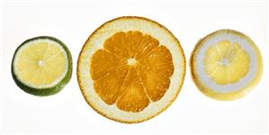 Slices of orange, lemon and lime on sheet of glass