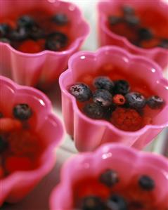 Gelatin with Fresh Berries