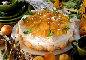 Cream cheese gateau with apricot filling