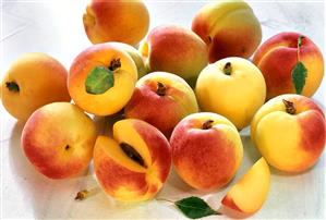 Several Fresh Apricots