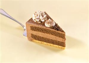 Piece of chocolate cream gateau