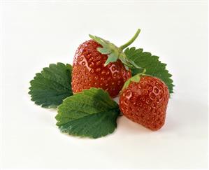 Strawberries with leaves