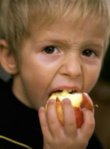 Small boy eating an apple (1)