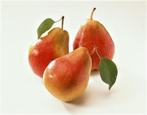 Three pears with stalk