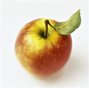 Apple with Stem