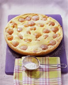 Apricot quark cake, sieve with icing sugar in front