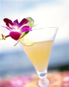 A glass of Daiquiri, garnished with lime peel & flower (1)