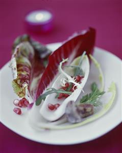 Salad leaves with pomegranate seeds on plate