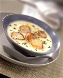 Scallop and Jerusalem artichoke soup