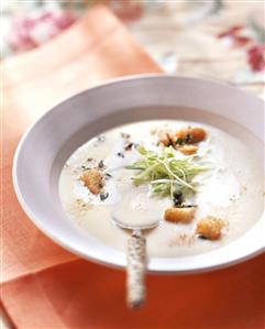 Veloute potato soup with herb croutons and onions tops