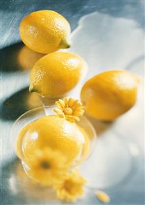 Lemons (2)