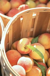 Peaches in a basket (3)