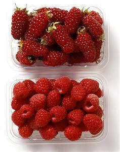 Two types of raspberries in plastic punnets (1)