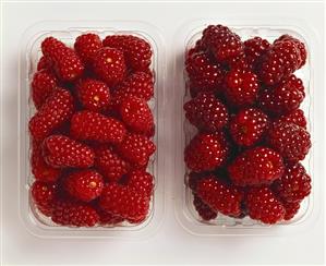 Two types of raspberries in plastic punnets (2)