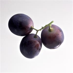 A Small Bunch of Purple Grapes