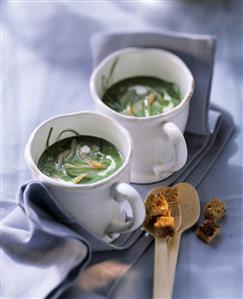 Ramsons (wild garlic) soup with salmon strips