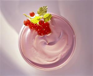 A bowl of redcurrant mousse