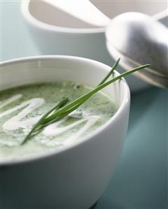 Broccoli Cream Soup