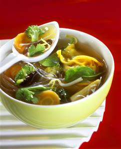 Chinese soup with wonton parcels, vegetables & glass noodles