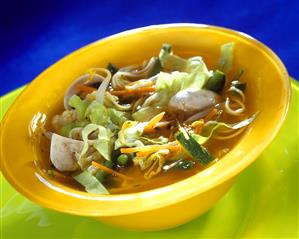 Vegetable soup (vegetable broth, vegetables, sprouts, noodles)