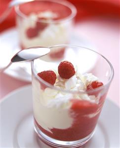 Raspberry Yogurt