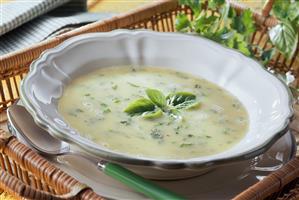 Creamed herb soup