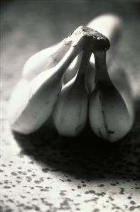 Bananas (black & white photo)