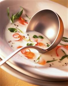 Buttermilk soup with chili rings, carrots and tarragon