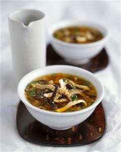 Chinese Hot and Sour Soup with Pork and Mushrooms