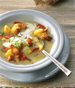 Potato and pepper soup with croutons