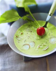 Cream of radish soup (2)