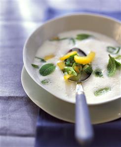 Vegetable and kefir soup