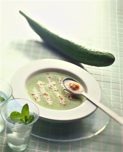 Chilled cucumber soup with shrimps