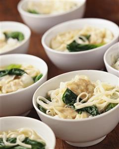 Asian noodle soup with wan tan