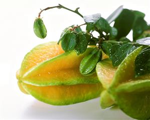 Star fruits (Carambola) with leaves