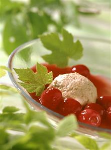 Cherries in port sauce, with nut ice cream