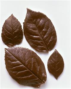 Chocolate leaves