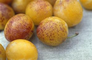 A few yellow plums