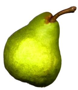 Green Williams pear