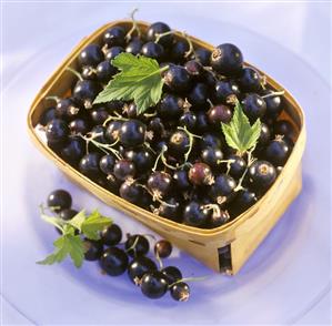 Blackcurrants in a punnet